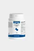 Canina Canhydrox GAG, Hund, Tablet, Gesundheit der Knochen, Produktbild-Vorschau 2