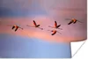 MuchoWow® Poster Flamingos fliegen in den Himmel 180x120 cm Produktbild-Vorschau 1