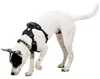 Pettorina per cani Ruffwear Front Range® Flex Harness Anteprima dell’immagine prodotto 6