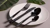 A set of black cutlery is arranged on a white plate, with green leaves in the background. Náhled obrázku produktu