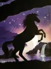 Schwarzlicht Poster | Black Beauty | 64x90cm | ungerahmt | Produktbild-Vorschau 1