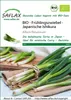 SAFLAX - Bio - Cebula - Ishikura - 150 Nasiona - Allium Podgląd zdjęcia produktu 11