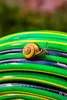 4-Lagiger Gartenschlauch 3/4" 30M Home Plus Vartco Produktbild-Vorschau 8