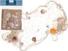 OOTB Deko-Fischnetz mit Muscheln ca. 100 x 200 cm Produktbild-Vorschau 4
