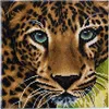 Crystal Art Leinwand Leopard 30x30 cm Produktbild-Vorschau 1