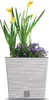A planter with yellow daffodils and purple flowers in a white and gray striped pot. Náhľad obrázku produktu