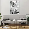 Bilder auf glas - Einteilig - Kuh Scotch Tier - 80x120cm - Produktbild-Vorschau 6