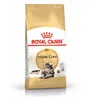 A bag of Royal Canin Maine Coon cat food against a white background. Náhled obrázku produktu