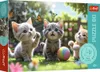 PUZZLE 60 Tri mačiatka 17412 Náhľad obrázku produktu 1