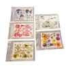 A collection of five different sets of pressed flowers, each in a clear plastic sleeve. Náhled obrázku produktu