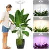 Pflanzenlampe LED Vollspektrum, Grow Lampe für Produktbild-Vorschau 1