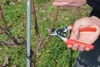FELCO 12 Gartenschere mit Drehgriff für Rechtshänder, Produktbild-Vorschau 12