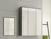 Xonox.home Spiegelschrank Blake 60 x 21 x 77 cm rauchsilber Produktbild-Vorschau 4