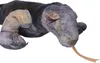Plüsch-Rabe - 30 cm Produktbild-Vorschau 3