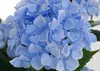 Künstliche Hortensie MCW-Q86, Dekopflanze Kunsthortensie Produktbild-Vorschau 2