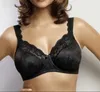 Triumph Stellina, Volle Tasse, Schwarz, Bügel, Muster, Produktbild-Vorschau 10