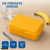 Lunchbox "School-Box" - Lunchbox voor kinderen en Productafbeelding-voorbeeld 7