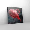 Bild auf Leinwand - Leinwandbild - Einteilig - Flamingo Produktbild-Vorschau 4