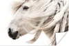 MuchoWow® Poster Pferd - Mähne - Weiß 90x60 cm - Produktbild-Vorschau 1