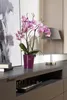 Orchideenvase Orchideentopf Soendgen Merina Candy Keramik Ø Produktbild-Vorschau 2