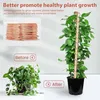 20m Electroculture Gardening Kupferdraht, 99,9% Reiner 16 Produktbild-Vorschau 4