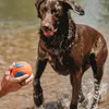 Chuckit ULTRA BALL Anteprima dell’immagine prodotto 17