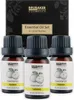 BRUBAKER 3er-Set Lemon Öl - Konzentrationsfähigkeit, gute Produktbild-Vorschau 1