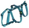 Kerbl Panikgeschirr Miami (Halsumfang 38 - 52 cm, Náhled obrázku produktu 2