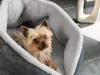 TrendPet LunaNest grotta coccolosa grigio (55x55x33cm) Anteprima dell’immagine prodotto 8