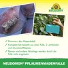 Neudorff Neudomon PflaumenmadenFalle 1 Stk. insektizidfrei Produktbild-Vorschau 4