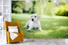 MuchoWow® Fototapete für Wohnzimmer oder Schlafzimmer Produktbild-Vorschau 6