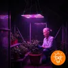 LED Pflanzenlampe 1000W Vollspektrum Panel, 225 LEDs Grow Produktbild-Vorschau 7