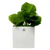 ASA Selection Quadro Übertopf, Blumenvase, Blumen Produktbild-Vorschau 4