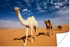 MuchoWow® Poster Kamel in Dahnaa 120x80 cm - Bilder Produktbild-Vorschau 2