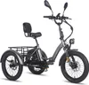 FAFREES F20 Mate Triporteur Électrique - Batterie Voir les images du produit 2