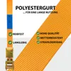 5x Spanngurt mit Ratsche 1-tlg 4m 800kg 25mm orange Produktbild-Vorschau 6