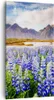 Bild auf Leinwand - Leinwandbild - Berge Wiese Blumen - Produktbild-Vorschau 1