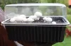 PLANTO Sada pro domácí pěstování Žampión bílý 3 l (Agaricus Náhled obrázku produktu 8