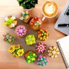 12 sukulentov Mini súpravy 1403 kusov Botanická súprava Náhľad obrázku produktu 3