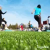 Opravné trávníkové semeno – Odolné (1 kg na 50 m2) - Náhled obrázku produktu 6