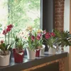 Lechuza Samozavlažovací květináč Orchidea 18 cm, bílá Náhled obrázku produktu 18