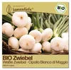 Samenliebe  Zwiebel Samen | Cipolla Bianca di Maggio - Produktbild-Vorschau 1