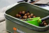 Karpfenfutter 18mm/1kg Dojrała Son Produktbild-Vorschau 9