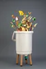 A compost bin with food scraps erupting from it, set against a plain gray background. Náhled obrázku produktu