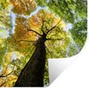 MuchoWow® Wandtattoo Wandsticker Wandaufkleber Baum - Natur Produktbild-Vorschau 1