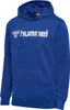 hmlGO 2.0 LOGO HOODIE Produktbild-Vorschau 1
