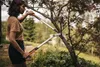 Fiskars PowerGearX bypass forbici da potatura orientate, 80 Anteprima dell’immagine prodotto 8