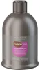 Alterego ChromEgo Silver Maintain Shampoo 300ml - shampoo Anteprima dell’immagine prodotto 2