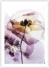 Poster - Poster ohne Rahmen - blume sommer natur - 50x70 cm Produktbild-Vorschau 1