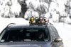 Menabo 000007800000, Wintersport-Träger, Dachhalterung, Produktbild-Vorschau 23